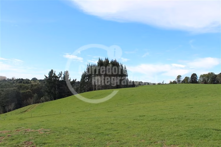 Parcela en venta en Los Muermos Puerto Varas