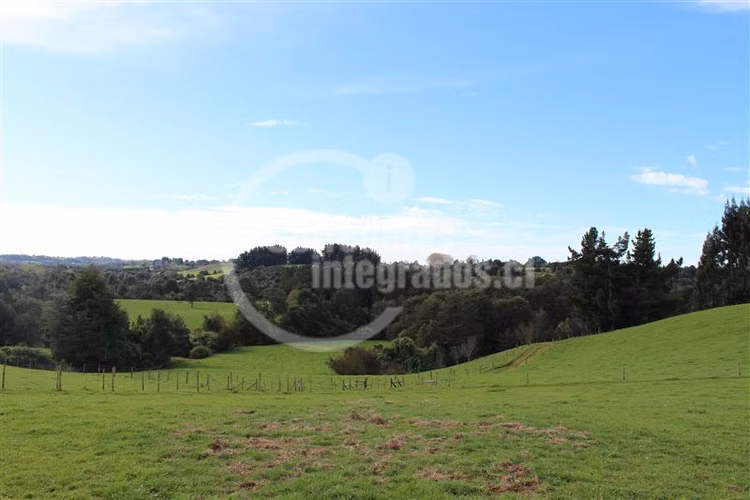 Parcela en venta en Los Muermos Puerto Varas