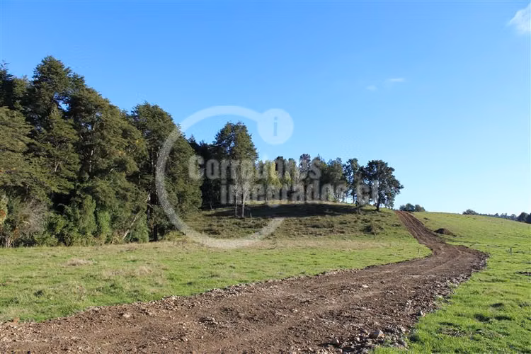 Parcela en venta en Los Muermos Puerto Varas