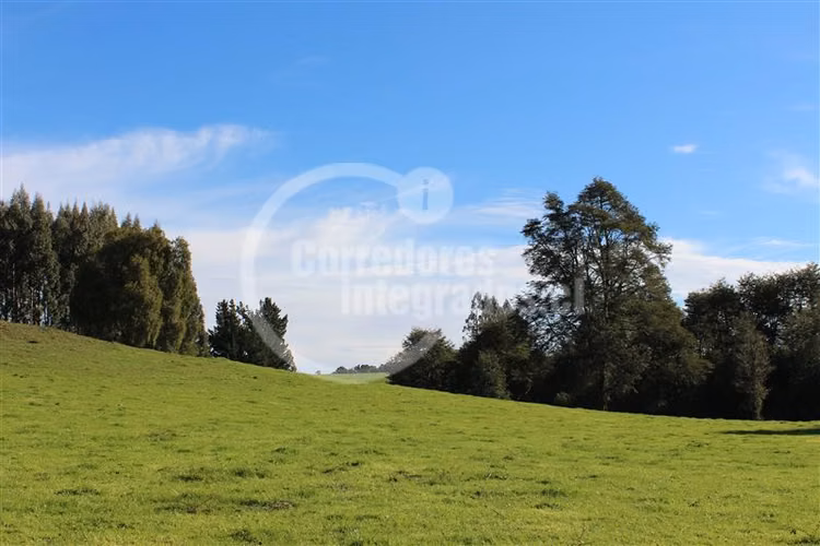 Parcela en venta en Los Muermos Puerto Varas