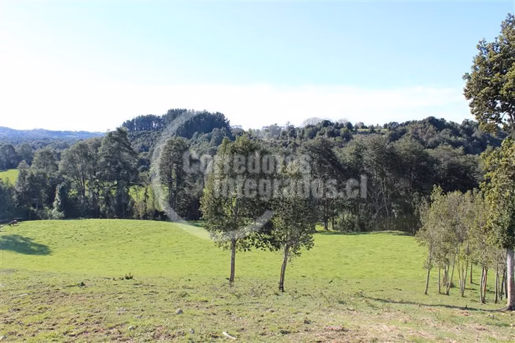 Parcela en venta en Los Muermos