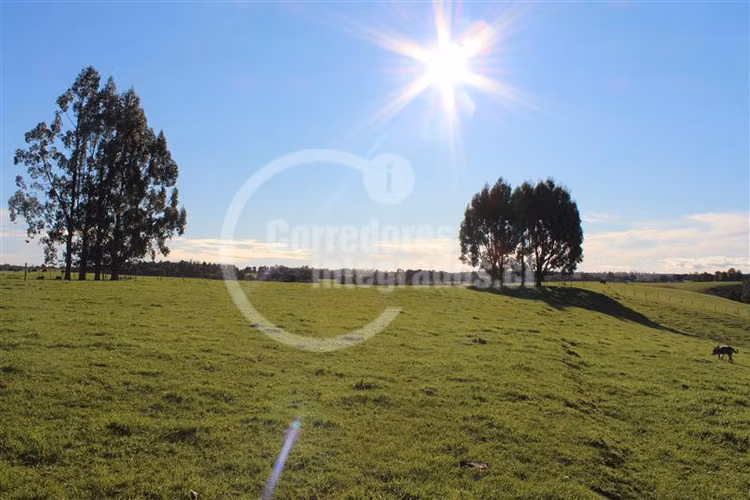 Parcela en venta en Los Muermos PUERTO VARAS