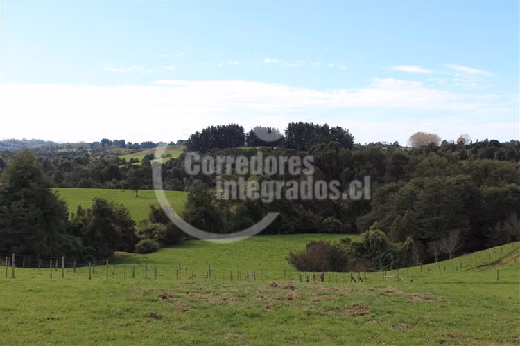 Parcela en venta en Los Muermos PUERTO VARAS
