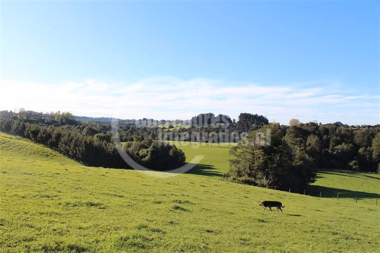 Parcela en venta en Los Muermos PUERTO VARAS
