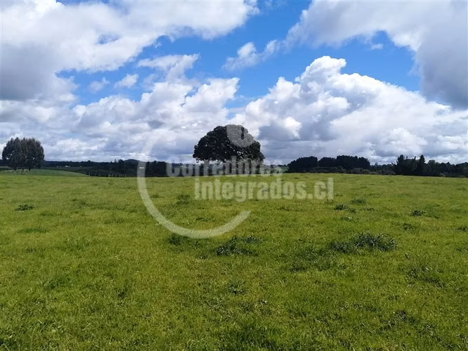 Parcela en venta en Los Muermos PUERTO VARAS