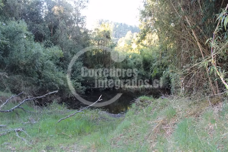Parcela en venta en Los Muermos PUERTO VARAS