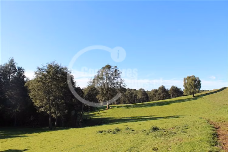 Parcela en venta en Los Muermos PUERTO VARAS
