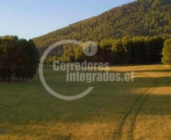 Parcela en venta en Pucón Liucura