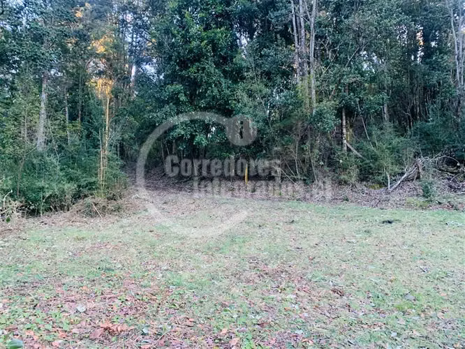 Parcela en venta en Puerto Octay