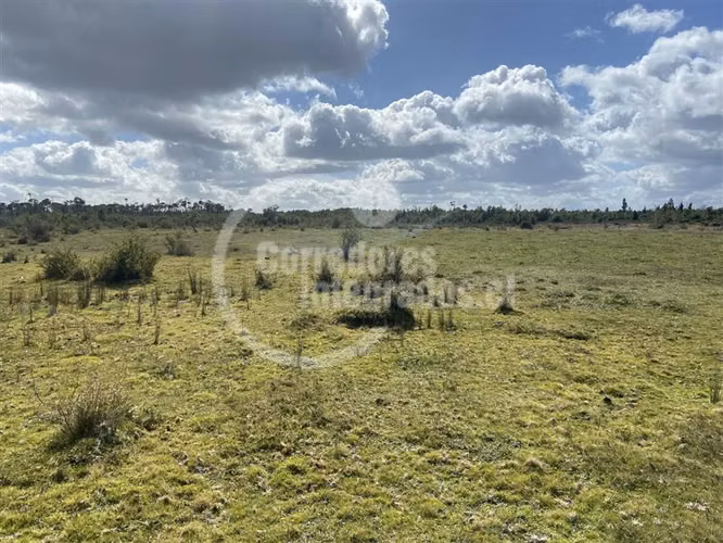 Parcela en venta en Maullín