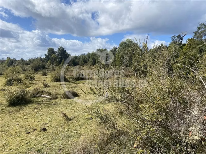 Parcela en venta en Maullín