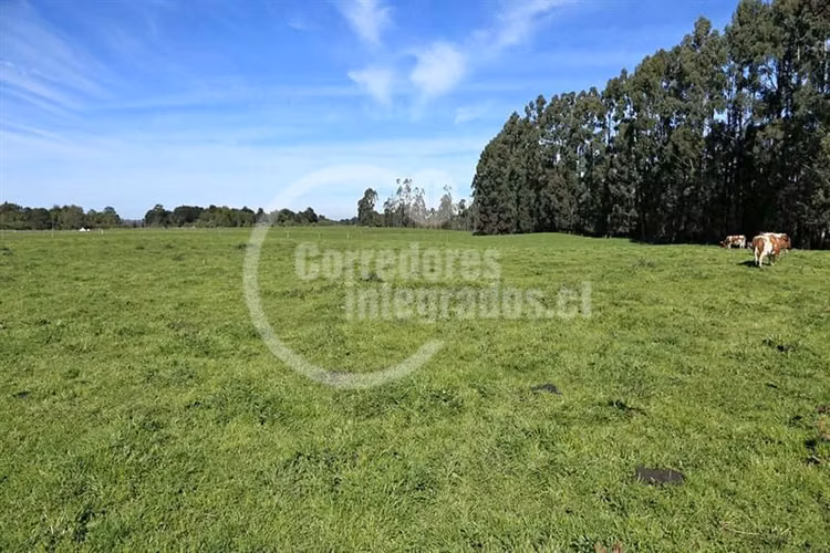 Parcela en venta en Puerto Varas