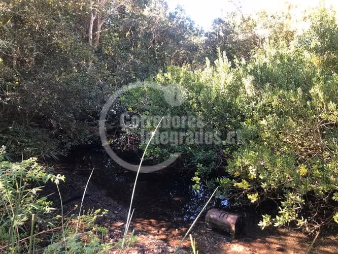 Parcela en venta en Puerto Varas