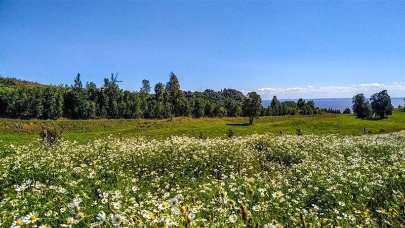 Parcela en venta en Puerto Varas, orilla Lago