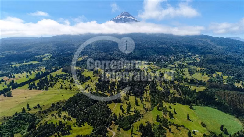 Parcela en Venta, orilla de Lago, Las Cascadas, Puerto Varas