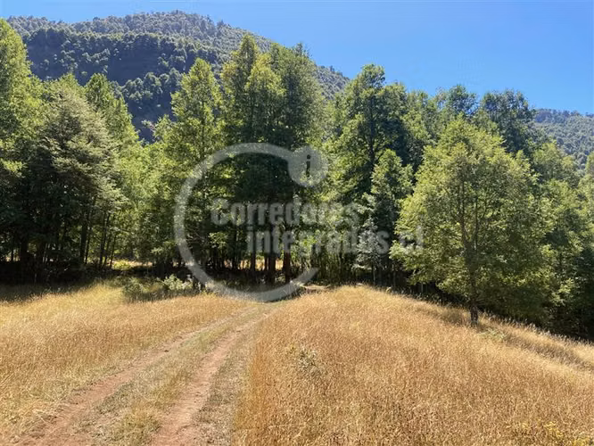 Parcela en venta en Pucón Sector Rio Nevado