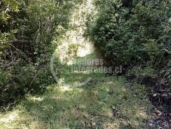 Parcela en venta en Pucón 5.000 m2 Rio Liucura