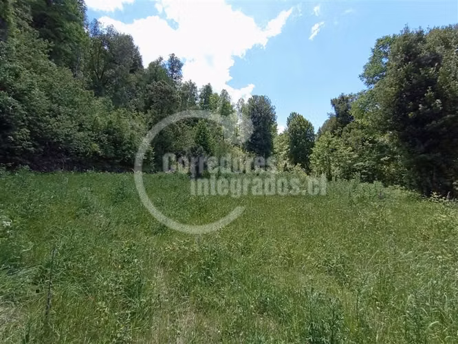 Parcela en venta en Pucón 5.000 m2 Rio Liucura