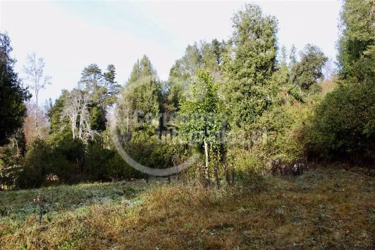 Parcela en venta en Pucón 5.000 m2 Rio Liucura