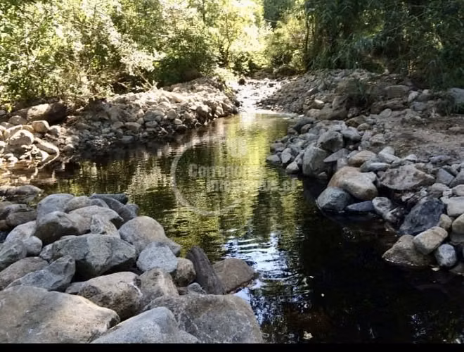 Parcela en venta en Pucón 5.000 m2 Rio Liucura