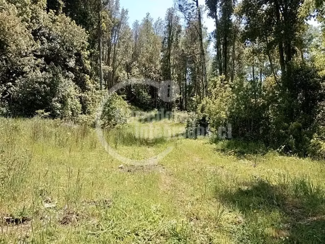 Parcela en venta en Pucón 5.000 m2 Rio Liucura