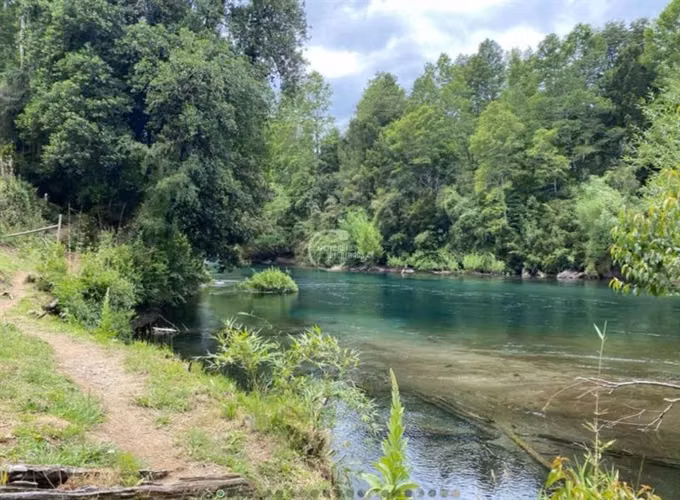 Parcela en venta en Pucón 5.000 m2 Rio Liucura