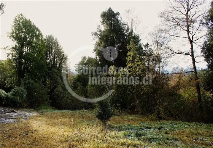 Parcela en venta en Pucón 5.000 m2 Rio Liucura
