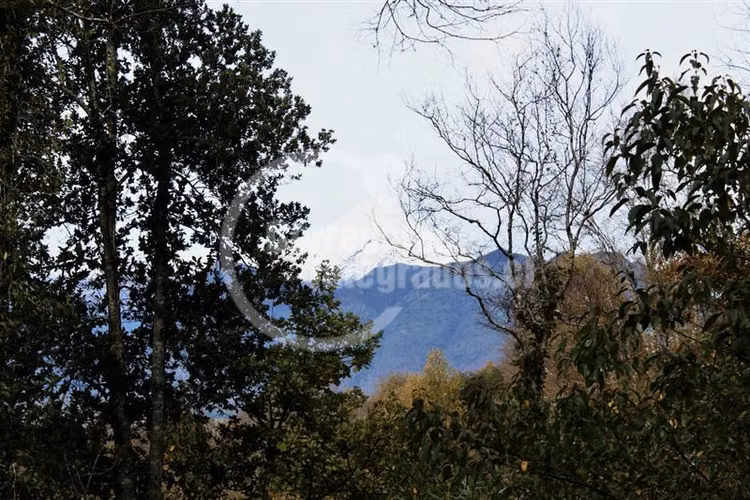 Parcela en venta en Pucón 5.000 m2 Rio Liucura