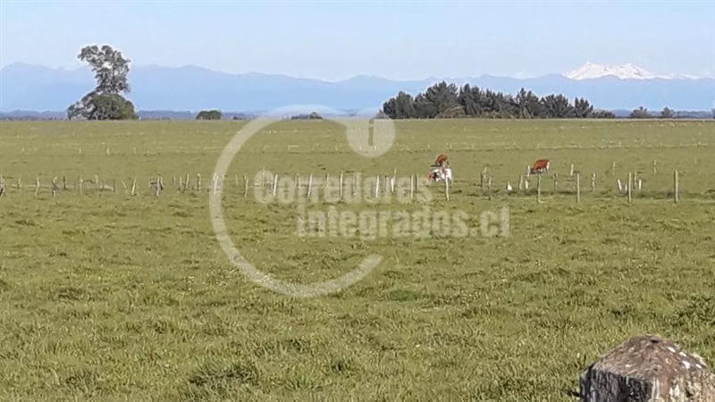 Parcela en venta en Puerto Varas