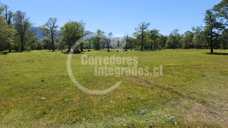 Terreno Construcción  en Venta en Villarrica