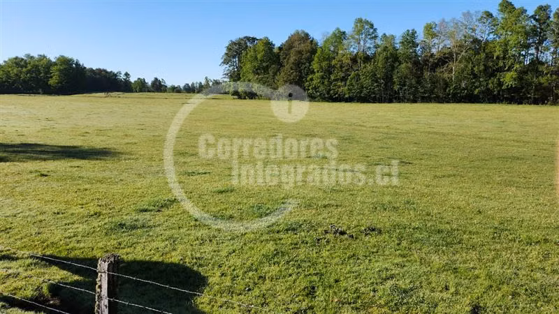 Terreno Construcción  en Venta en Villarrica