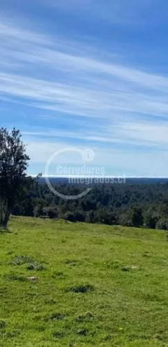 Parcela en venta en Chiloe, Quemchi