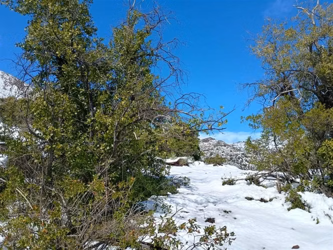 Agrícola en venta en Paine - Imagen 5