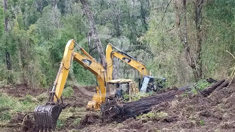 Agrícola en venta en Ancud - Imagen 3