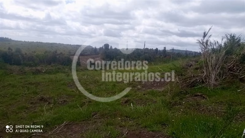 Agrícola en venta en Ancud - Imagen 2