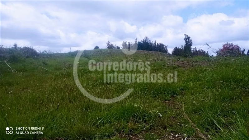 Agrícola en venta en Ancud