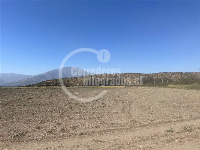 Agrícola en venta en Curacaví - Imagen 3