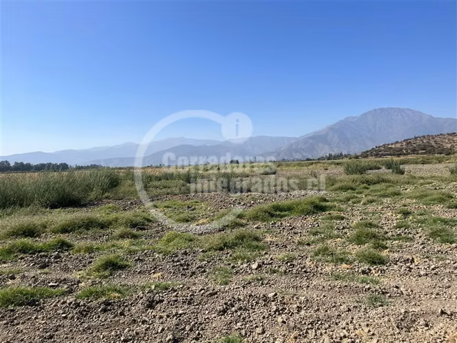 Agrícola en venta en Curacaví - Imagen 4