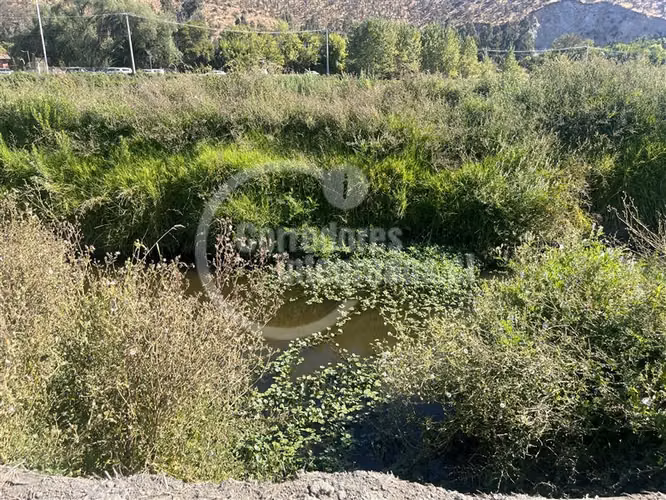 Agrícola en venta en Curacaví - Imagen 6