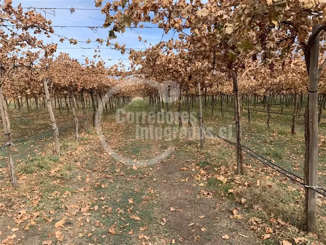 Agrícola en venta en Tiltil