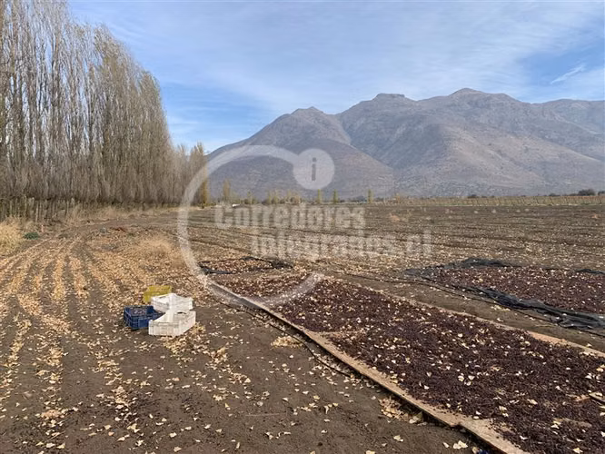 Agrícola en venta en Tiltil
