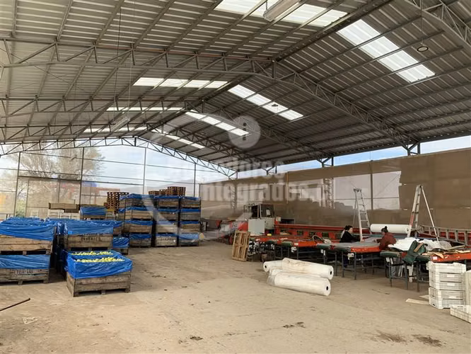 Agrícola en venta en Tiltil