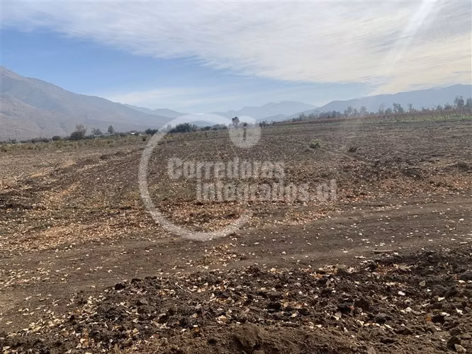 Agrícola en venta en Tiltil