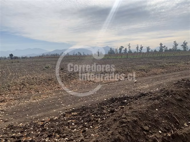Agrícola en venta en Tiltil