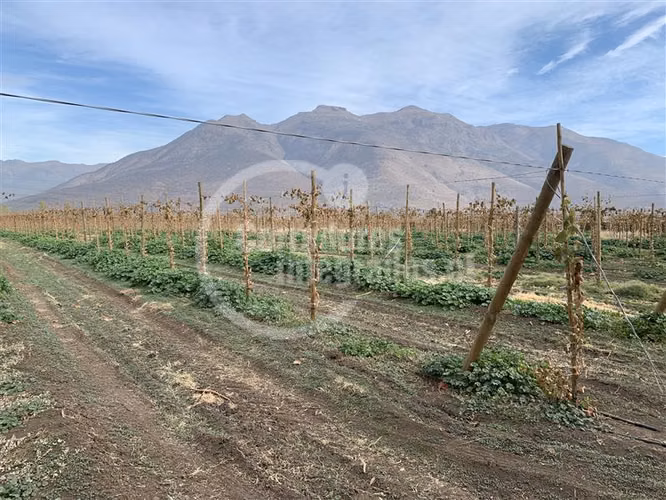 Agrícola en venta en Tiltil