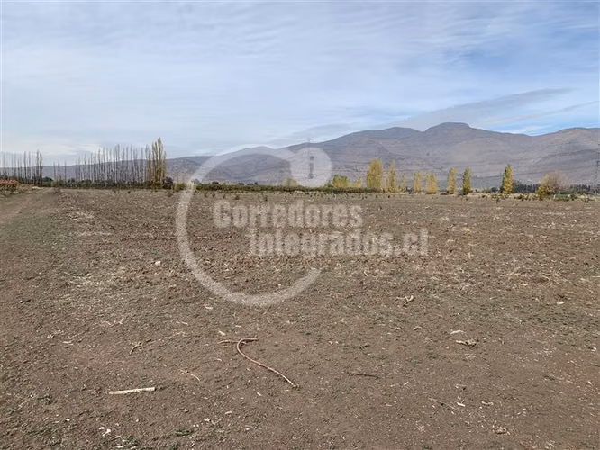 Agrícola en venta en Tiltil