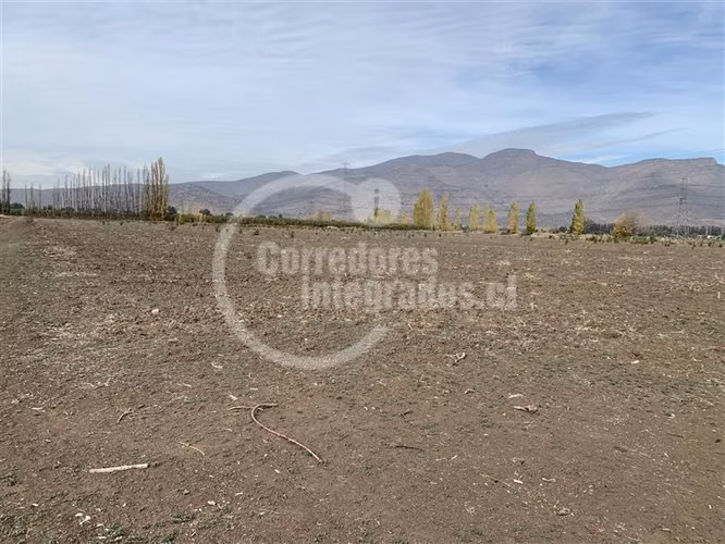 Agrícola en venta en Tiltil