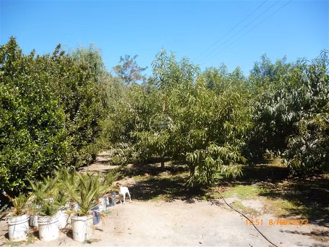 Agrícola en Venta en Paine
