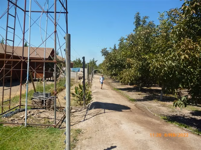Agrícola en Venta en Paine