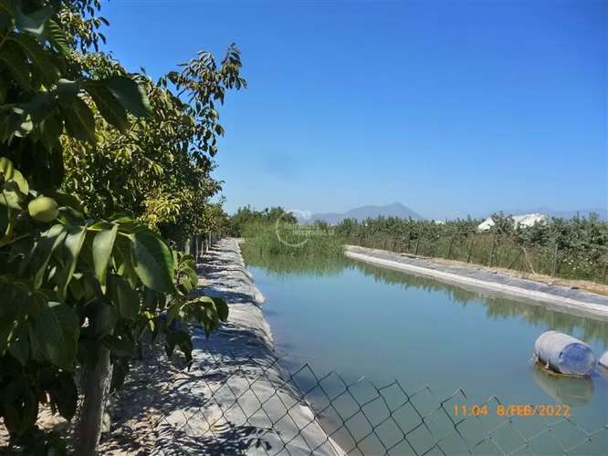 Agrícola en Venta en Paine